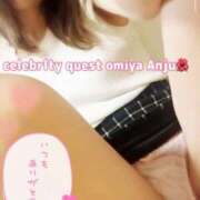 ヒメ日記 2025/04/23 08:25 投稿 あんじゅ セレブクエスト-Nishikawa-