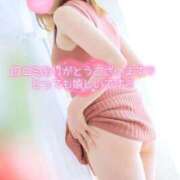 ヒメ日記 2025/09/16 12:41 投稿 あんじゅ セレブクエスト-Nishikawa-