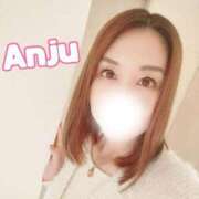 ヒメ日記 2025/11/30 08:36 投稿 あんじゅ セレブクエスト-Nishikawa-