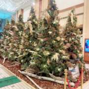 ヒメ日記 2025/12/01 18:35 投稿 あんじゅ セレブクエスト-Nishikawa-