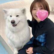 ヒメ日記 2025/03/25 17:05 投稿 まいこ セレブクエスト-Nishikawa-