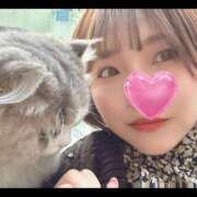 ヒメ日記 2025/03/28 13:25 投稿 まいこ セレブクエスト-Nishikawa-