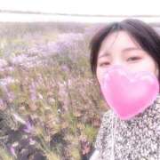 ヒメ日記 2025/06/12 12:42 投稿 まいこ セレブクエスト-Nishikawa-