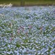 ヒメ日記 2025/04/30 15:52 投稿 三宅凛々子(みやけりりこ) 五十路マダムエクスプレス厚木店(カサブランカグループ)