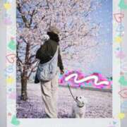 ヒメ日記 2026/04/07 15:54 投稿 三宅凛々子(みやけりりこ) 五十路マダムエクスプレス厚木店(カサブランカグループ)