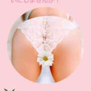 ヒメ日記 2025/11/21 23:40 投稿 桃音（もね） 立川熟女の秘密基地