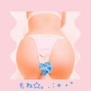 ヒメ日記 2026/06/28 06:47 投稿 桃音（もね） 立川熟女の秘密基地
