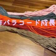 ヒメ日記 2026/09/22 08:41 投稿 つばさ セレブクエスト-Nishikawa-