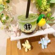 ヒメ日記 2025/06/01 02:41 投稿 かすみ セレブクエスト-Nishikawa-