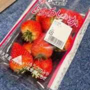 ヒメ日記 2025/03/22 14:18 投稿 らら ホワイトハウス