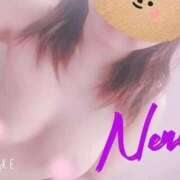 ヒメ日記 2025/09/08 01:51 投稿 ねね セレブクエスト-Nishikawa-