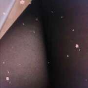 ヒメ日記 2025/03/31 11:45 投稿 ふみの セレブクエスト-Nishikawa-