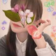 ヒメ日記 2025/04/12 00:15 投稿 ふみの セレブクエスト-Nishikawa-