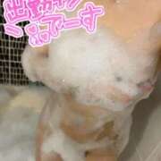 ヒメ日記 2025/06/15 17:42 投稿 さち セレブクエスト-Nishikawa-