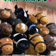 さち 今夜は すぐにお礼かきまた ( ᵒ̴̶̷̤‧̫ ᵒ̴̶̷̤  ) セレブクエスト-Nishikawa-