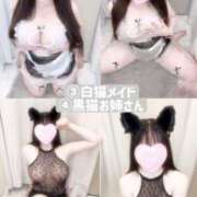 ヒメ日記 2025/07/21 18:20 投稿 なな ごほうびSPA池袋店