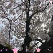 ヒメ日記 2025/04/08 14:57 投稿 まゆみ 熟女の風俗最終章 新宿店