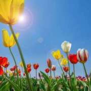 ヒメ日記 2025/03/23 12:07 投稿 まゆみ 熟女の風俗最終章 池袋店