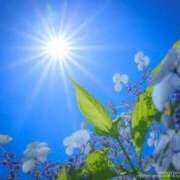 ヒメ日記 2025/04/11 20:42 投稿 まゆみ 熟女の風俗最終章 池袋店