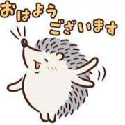 ヒメ日記 2025/05/07 11:09 投稿 まゆみ 熟女の風俗最終章 池袋店