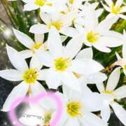 ヒメ日記 2025/09/11 20:25 投稿 春野 熟女待機所 厚木店