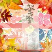 ヒメ日記 2025/10/30 16:46 投稿 春野 熟女待機所 厚木店