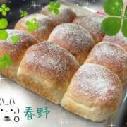 ヒメ日記 2026/02/06 15:05 投稿 春野 熟女待機所 厚木店