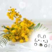 ヒメ日記 2026/02/27 15:06 投稿 春野 熟女待機所 厚木店