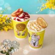 ヒメ日記 2026/03/11 23:26 投稿 春野 熟女待機所 厚木店