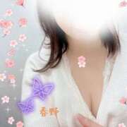 ヒメ日記 2026/03/16 13:46 投稿 春野 熟女待機所 厚木店