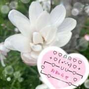 ヒメ日記 2026/03/26 20:46 投稿 春野 熟女待機所 厚木店