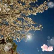 ヒメ日記 2026/04/03 23:06 投稿 春野 熟女待機所 厚木店