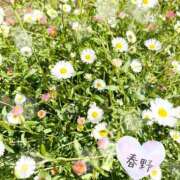 ヒメ日記 2026/05/14 13:45 投稿 春野 熟女待機所 厚木店