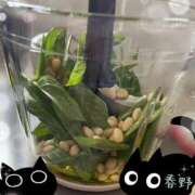 ヒメ日記 2026/07/02 14:46 投稿 春野 熟女待機所 厚木店