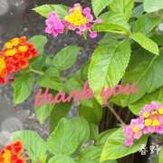 ヒメ日記 2026/07/05 17:06 投稿 春野 熟女待機所 厚木店