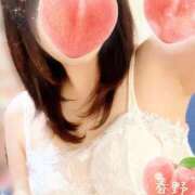 ヒメ日記 2026/07/23 15:06 投稿 春野 熟女待機所 厚木店