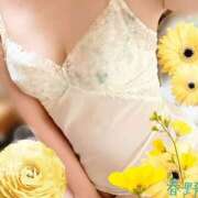 ヒメ日記 2026/08/20 14:46 投稿 春野 熟女待機所 厚木店