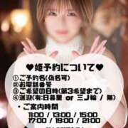 ヒメ日記 2025/03/31 18:29 投稿 エマ ムーランルージュ