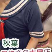 ヒメ日記 2025/04/18 16:30 投稿 秋葉（あきば） 熟女の風俗最終章 名古屋店