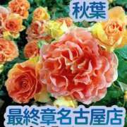 ヒメ日記 2025/06/08 05:20 投稿 秋葉（あきば） 熟女の風俗最終章 名古屋店