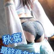 ヒメ日記 2025/07/30 18:55 投稿 秋葉（あきば） 熟女の風俗最終章 名古屋店