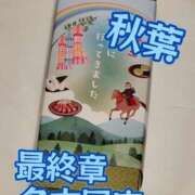ヒメ日記 2025/08/22 18:22 投稿 秋葉（あきば） 熟女の風俗最終章 名古屋店