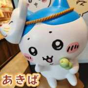 ヒメ日記 2025/10/04 13:49 投稿 秋葉（あきば） 熟女の風俗最終章 名古屋店