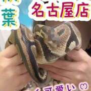 ヒメ日記 2025/10/26 20:32 投稿 秋葉（あきば） 熟女の風俗最終章 名古屋店