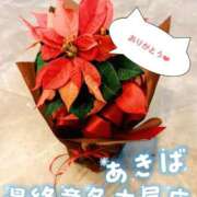 ヒメ日記 2025/12/20 10:42 投稿 秋葉（あきば） 熟女の風俗最終章 名古屋店