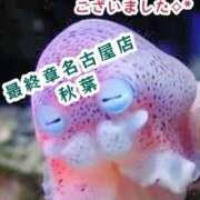 ヒメ日記 2025/12/28 07:42 投稿 秋葉（あきば） 熟女の風俗最終章 名古屋店