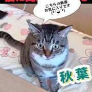 ヒメ日記 2026/01/31 15:32 投稿 秋葉（あきば） 熟女の風俗最終章 名古屋店