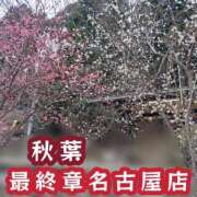 ヒメ日記 2026/02/28 18:37 投稿 秋葉（あきば） 熟女の風俗最終章 名古屋店