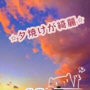 ヒメ日記 2026/04/04 13:56 投稿 秋葉（あきば） 熟女の風俗最終章 名古屋店