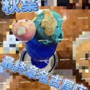 ヒメ日記 2026/06/10 01:32 投稿 秋葉（あきば） 熟女の風俗最終章 名古屋店